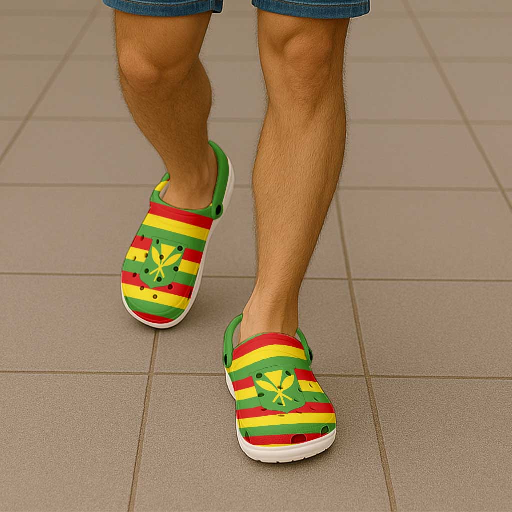 Hawaii Kanaka Maoli Clogs Shoes Heritage Palette Flag-Inspired - Polynesian Pride