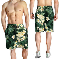 Hawaii Plumeria Tropical Leaves Shorts for Men Monstera Calathea Palm Fronds