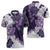 Purple Hibiscus Plumeria Floral Zipper Polo Shirt - Polynesian Pride