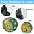 Cook Islands 15 Finest Spare Tire Cover Plumeria Polynesian Turtle