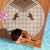 Aloha Hawaii Cowboys Paniolo Beach Blanket Beige Palaka - Polynesian Pride