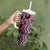 Maori Taniko Patterns Tumbler With Handle Pink Patiki Motifs Mix Whakairo Ngaru