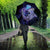 Polynesian Aumakua Umbrella Jellyfish with Shark - Polynesian Pride