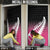 Pink Silver Fern Spirit Taniko Tukutuku Personalised Door Cover - Polynesian Pride