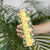 Hawaiian Palaka Skinny Tumbler Hibiscus Pineapple Lei - Polynesian Pride