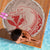 Hawaii Monk Seal and Map Beach Blanket Polynesian Kanaka Maoli Red Vibe