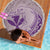 Hawaii Monk Seal and Map Beach Blanket Polynesian Kanaka Maoli Violet Vibe