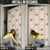Hawaiian Palaka Quilt Pattern Door Cover Hawaii Culture Tropical Flowers Mix - Polynesian Pride