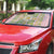 Squares Puakenikeni and Kalo Auto Sun Shade Pink Palaka Hawaiian Quilt Pattern - Polynesian Pride
