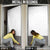 Light Gray Tongan Polynesian Tribal Door Cover - Polynesian Pride