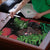 Meri Kirihimete New Zealand Puzzle Piwakawaka Koru Fern Mix Pohutukawa - Polynesian Pride