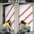 White Sunday Tonga Fakame Door Cover Tongan Ngatu Heilala Lei - Polynesian Pride