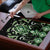 Green Ngaru Taniko With Aotearoa Maori Tattoo Puzzle - Polynesian Pride