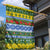 Solomon Islands Christmas Garden Flag The Solomons Melanesian Meri Krismas - Polynesian Pride