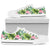 Hawaii Palm Flamingo Low Top Shoe - Polynesian Pride