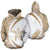 Hawaii Turtle Polynesian Hoodie Circle Style Golden and White Unisex White - Polynesian Pride