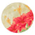 Hawaii Flower Hibiscus Round Carpet - AH Round Carpet Luxurious Plush - Polynesian Pride