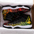 Papua New Guinea Sneaker J.11 PNG Bird - of - paradise Reggae Ver. LT7 Reggae - Polynesian Pride