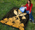 Hawaiian Kanaka Premium Quilt Hibiscus Polynesian Love Gold - Polynesian Pride