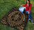 Hawaiian Kakau Honu Arc Gold Polynesian Premium Quilt - Polynesian Pride