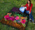 Polynesian Hawaii Premium Quilt - Summer Hibiscus - Polynesian Pride