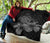Hawaii Hibiscus Premium Quilt - Turtle Map - Gray AH - Polynesian Pride