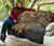 Federated States Of Micronesia Premium Quilt - Federated States Of Micronesia Seal & Golden Turtle Hibiscus - Polynesian Pride