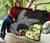 Hawaii Premium Quilt - Mantaray With Hibiscus Flowers - Polynesian Pride