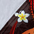 Federated States of Micronesia Polynesian Premium Blanket - Legend of FSM (Red) - Polynesian Pride