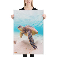 Ocean Picture Canvas 24x36 Canvas White - Polynesian Pride